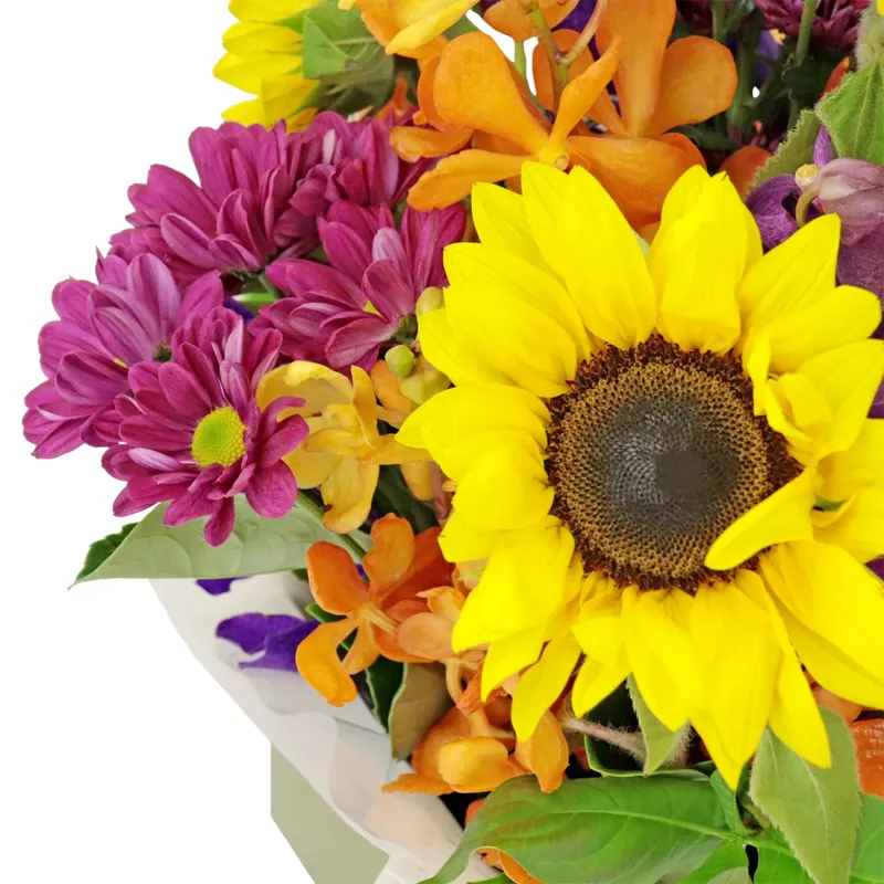 Цветы в коробке Ласковый луг