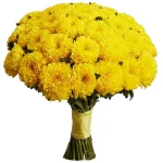 Хризантемы одноголовые желтые